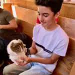 BOTA - Guinea Pig