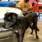 Titan with Antwaun