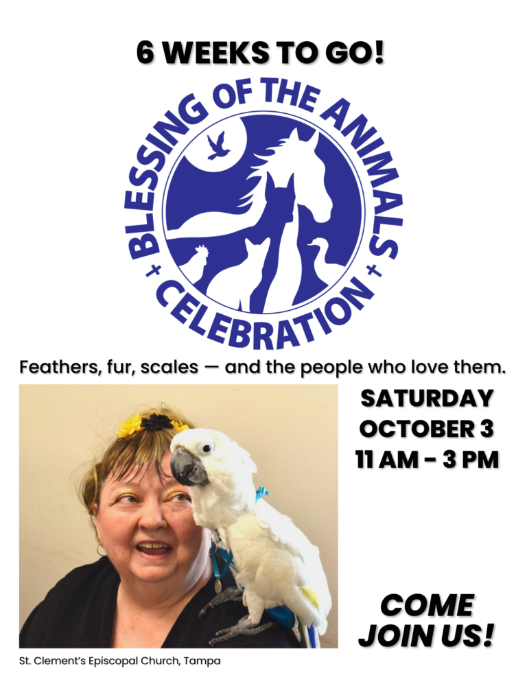 Only 6 weeks to go until the Blessing of the Animals Celebration at St. Clement&rsquo;s Episcopal Church, Saturday, October 3, 11 a.m.&ndash;3 p.m. Come and share a blessing.