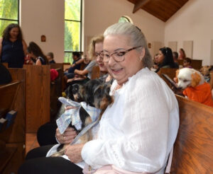 Puppy in pew BOTA