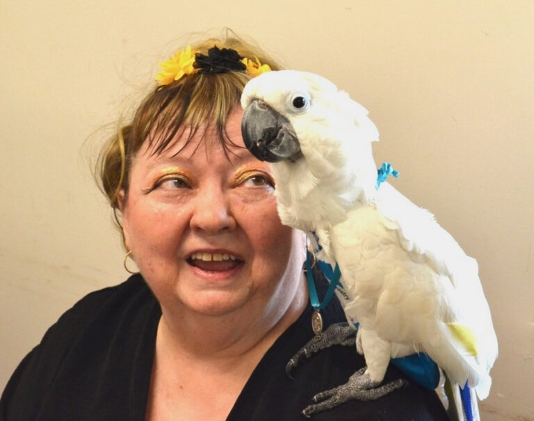 BOTA Blessing of the Animals 2026 St Clement Tampa