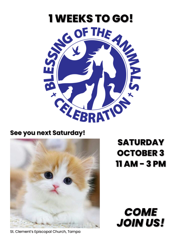 Only 1 week to go until the Blessing of the Animals Celebration at St. Clement&rsquo;s Episcopal Church, Saturday, October 3, 11 a.m.&ndash;3 p.m. Come and share a blessing.
